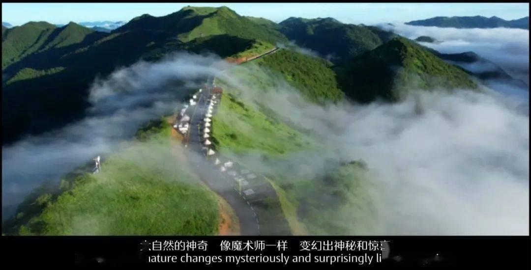 悬崖跳水运动